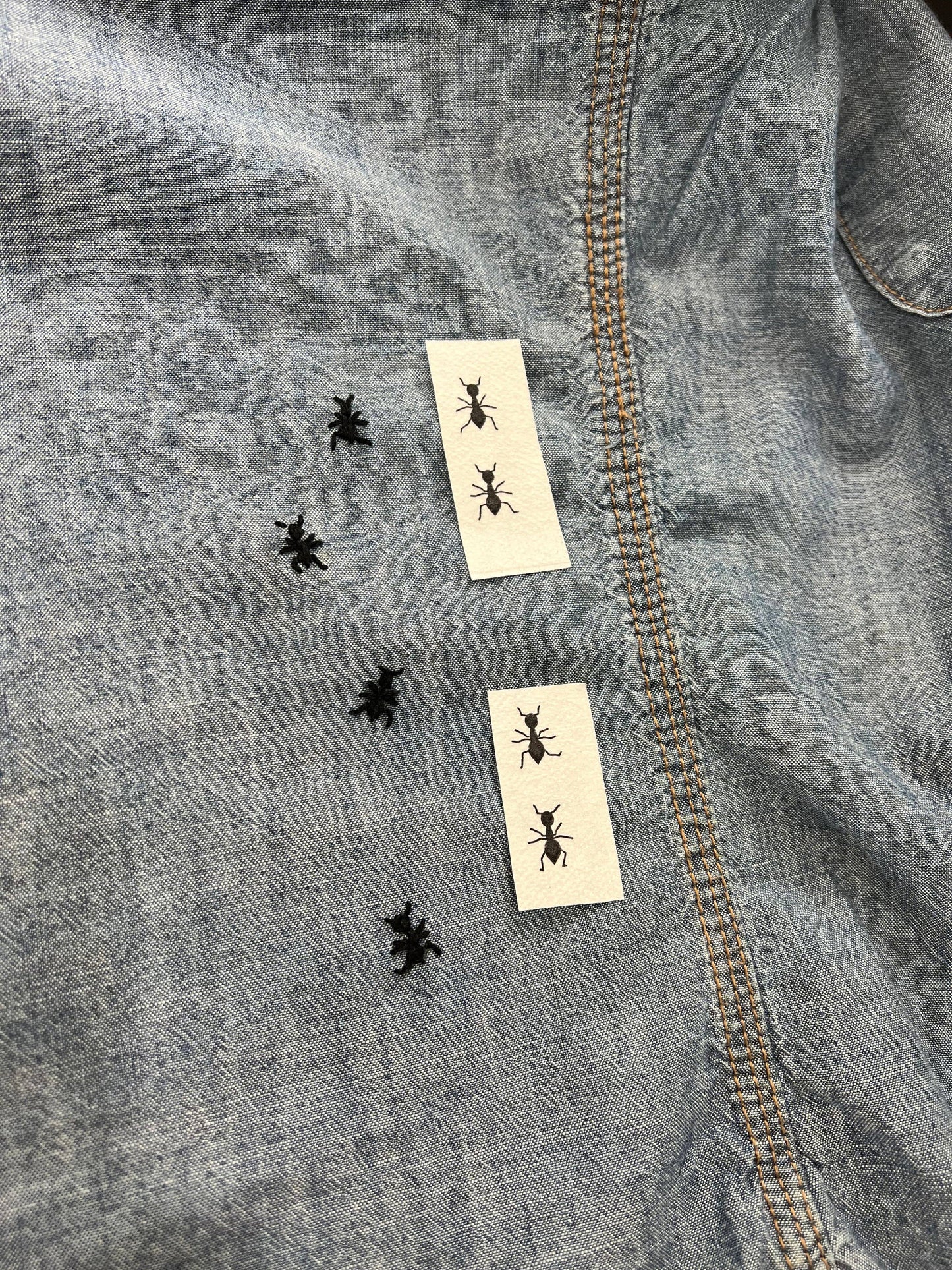 Embroidery Pattern Transfer Set - Bugs
