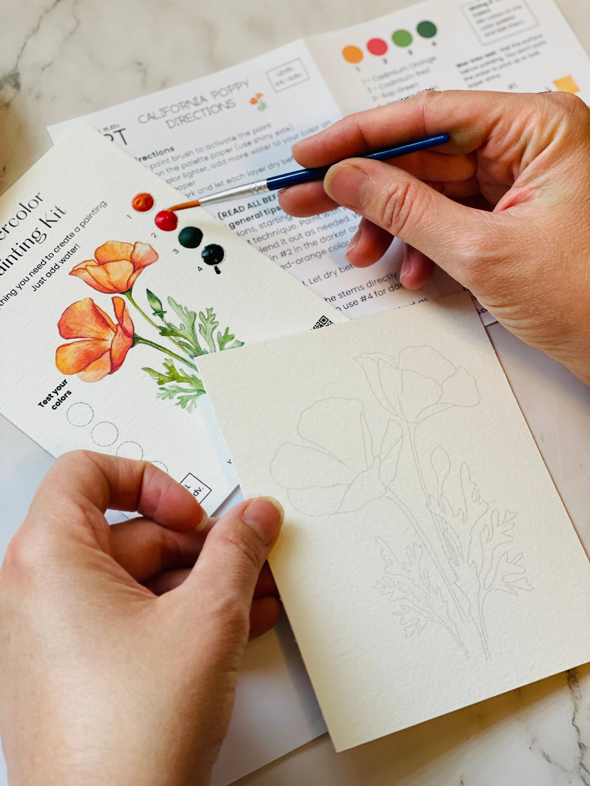 Person painting a poppy flower on a card with a color swatch and instructions in the background.