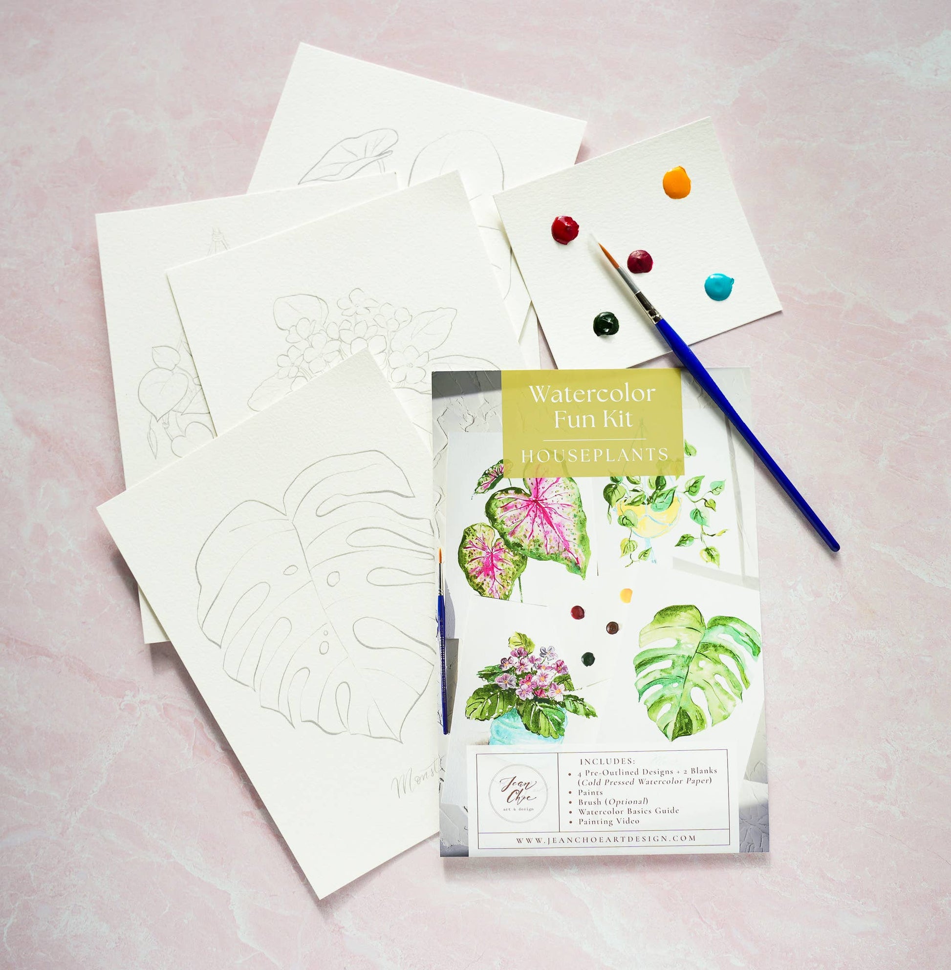 Watercolor fun kit with houseplants, paper, and paintbrush on a pink background