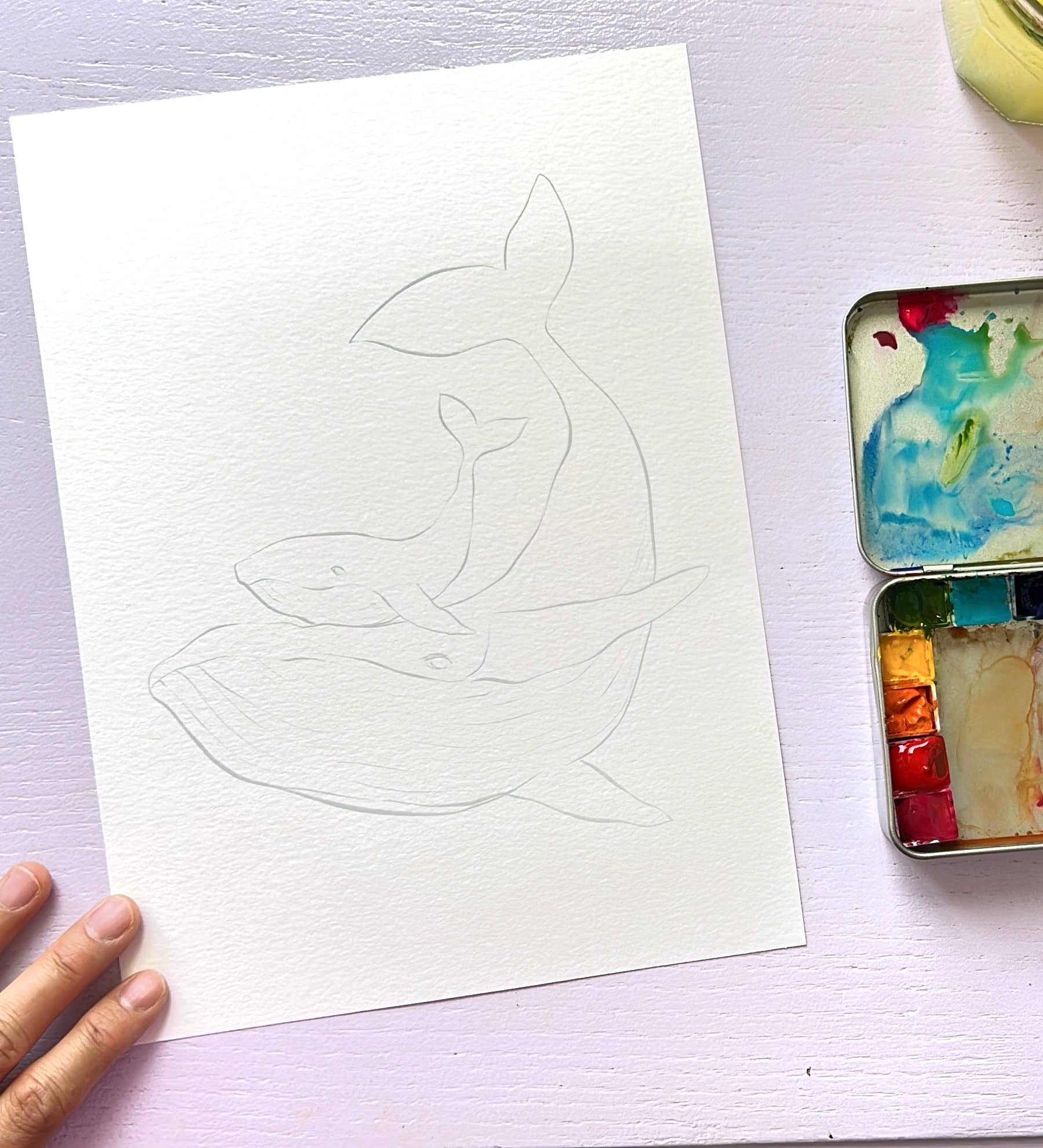 Outline of a fox on a white sheet of paper with a watercolor set next to it (watercolor paints are not included in this product).