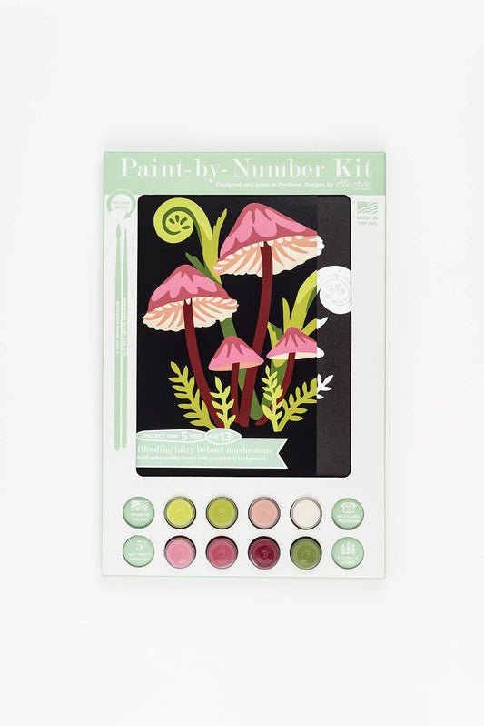 Packaged paint-by-number kit