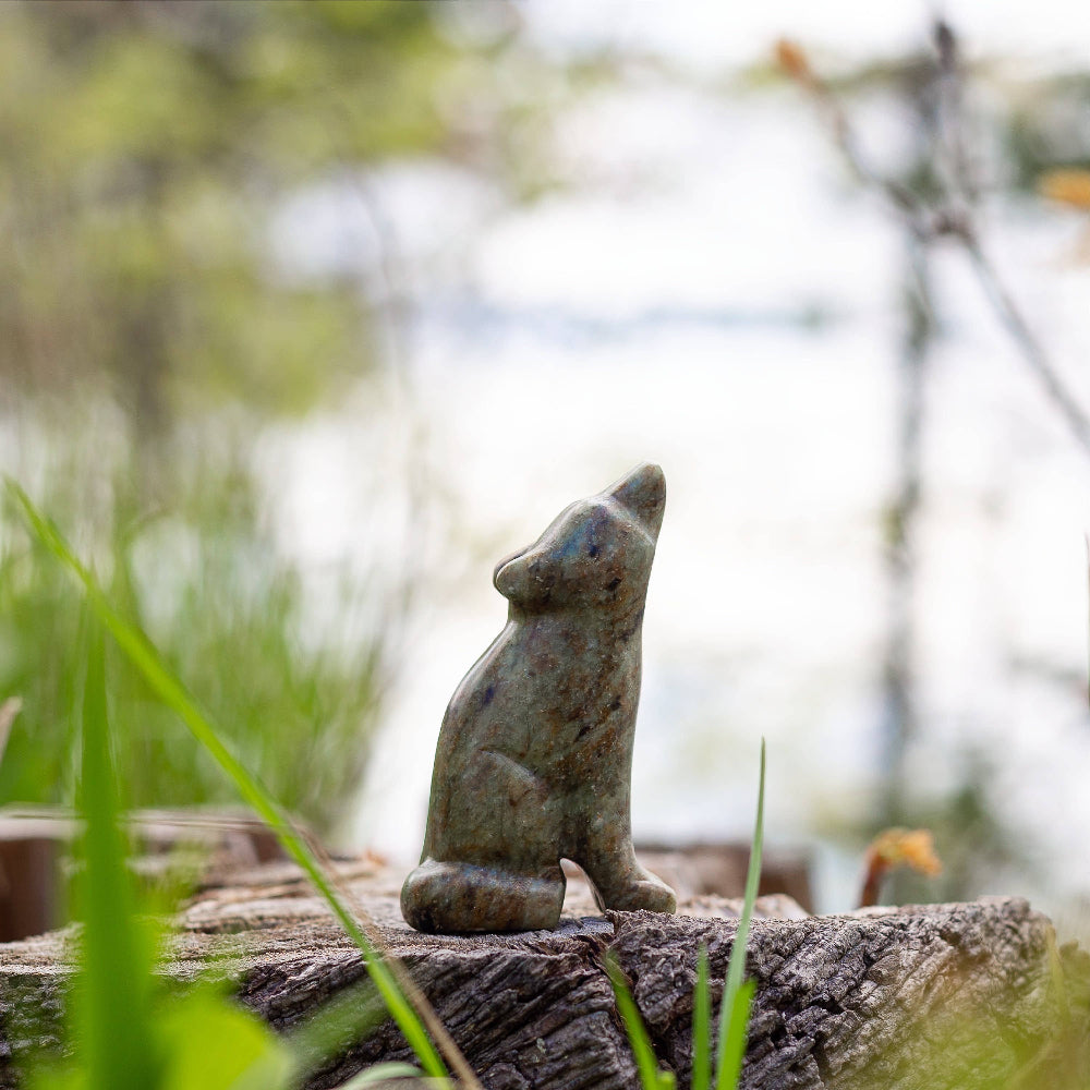 A finished wolf soapstone carving set in nature with blurred plants in the background. 