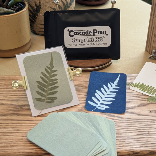Sunprint kit with pressed leaves and cards on a wooden surface