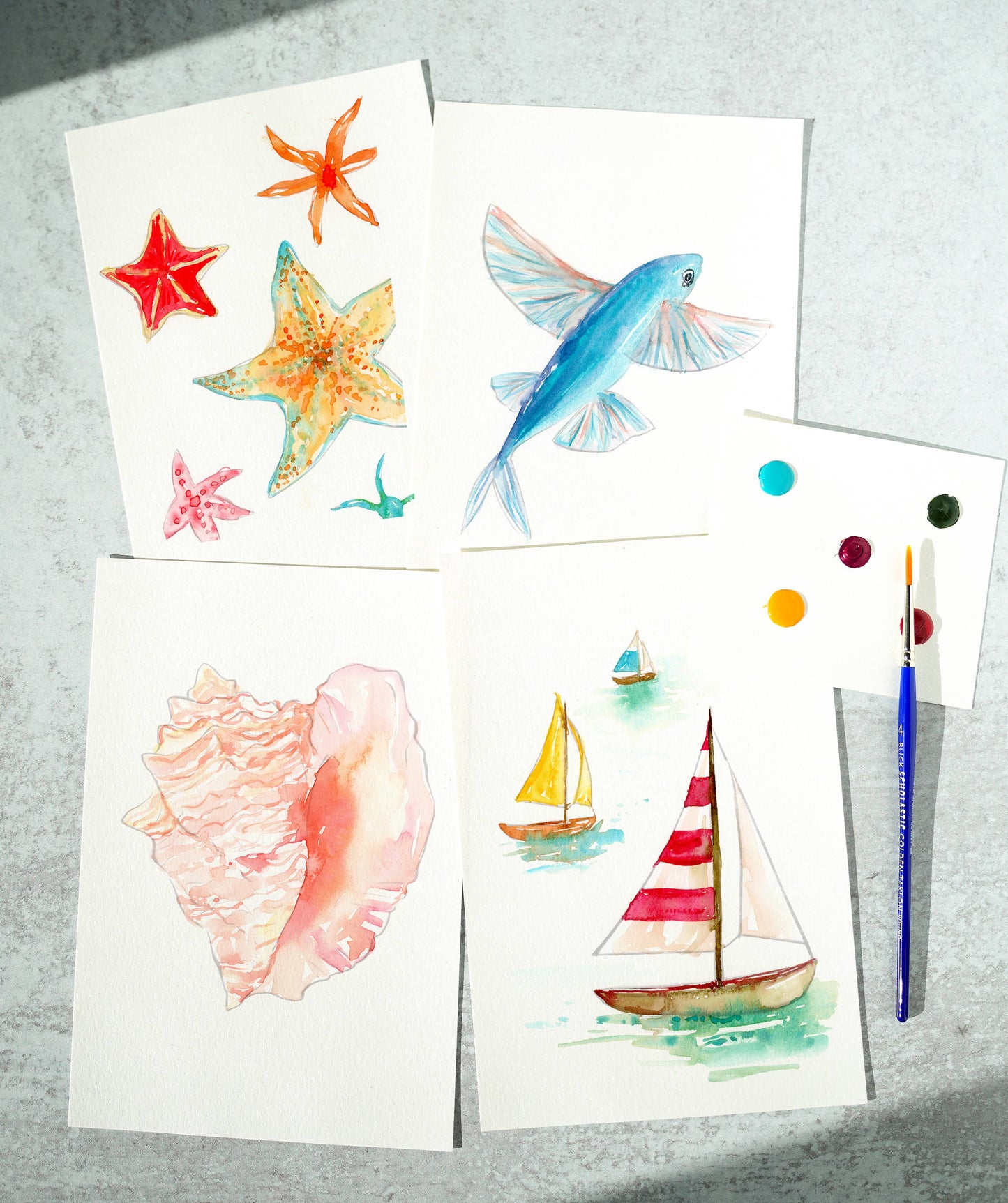 Seashores, Sea Life & Sail - Watercolor kit