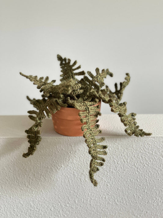 Potted Forest Fern - Crochet Kit