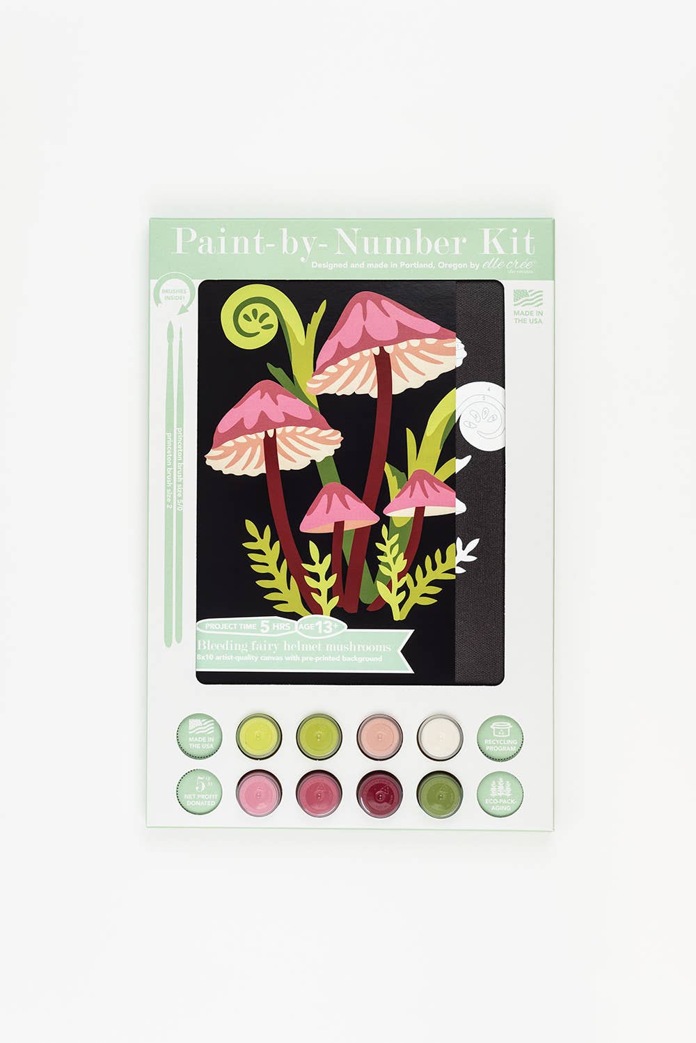 Packaged paint-by-number kit