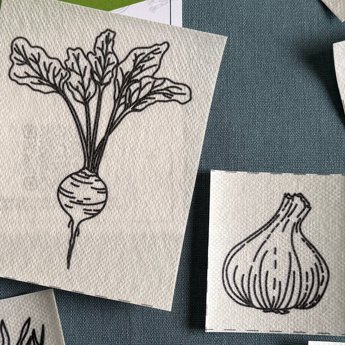 Black ink botanical illustrations of a beetroot and a garlic bulb printed transfer stickers cards, arranged on a dark teal fabric background.